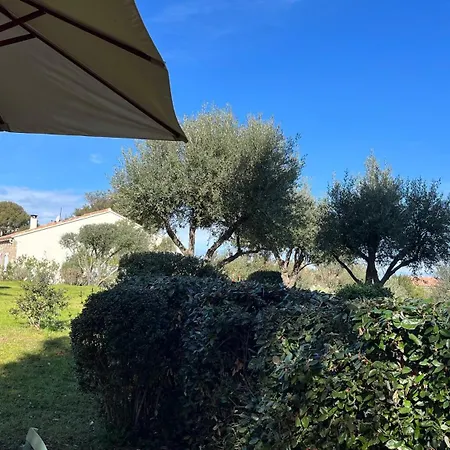 Apartment Cocody 5 Lumio (Corsica)