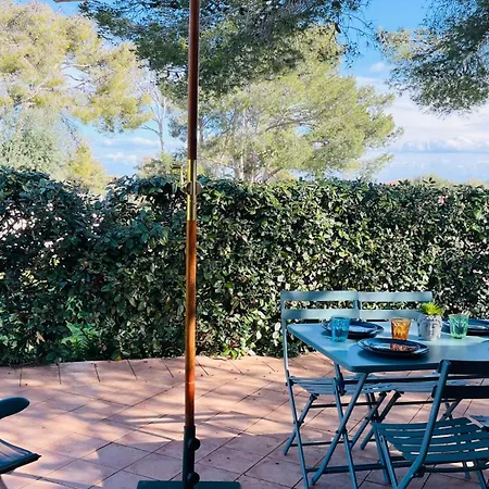 Cocody 5 * Lumio (Corsica)